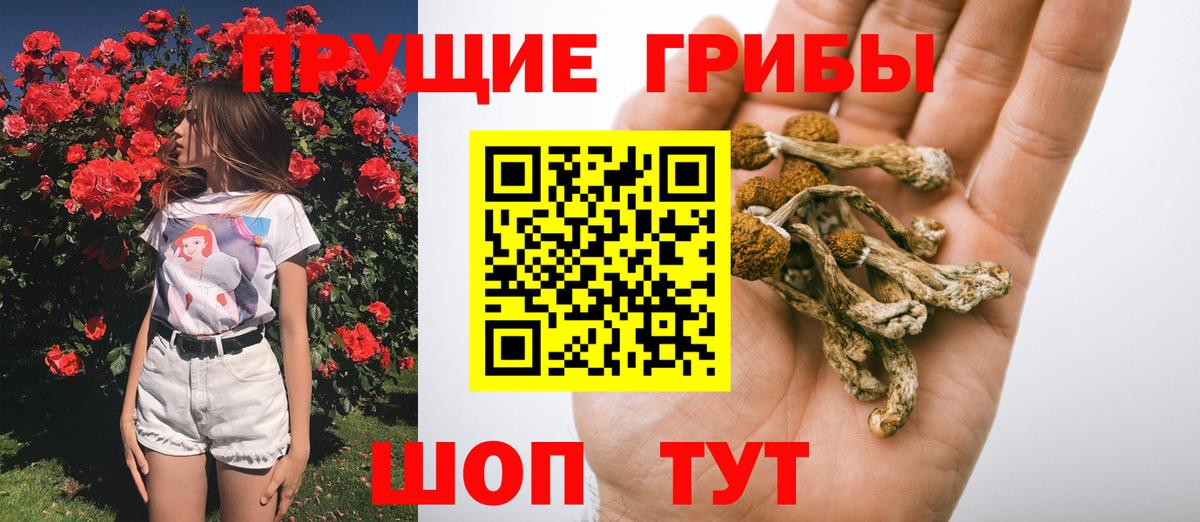 Сухой Лог  Псилоцибиновые грибы прущие грибы  Вход с VPN  Псилоцибиновые грибы ЛСД 